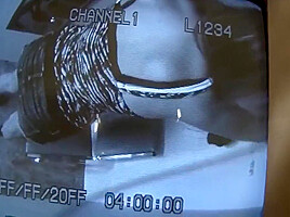 Queens – Suck My Cock And Drink E Sperm!!!! – ( #49 )